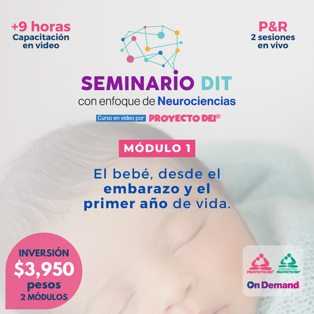 Proyecto DEI