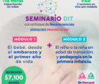 Proyecto DEI