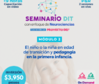 Proyecto DEI