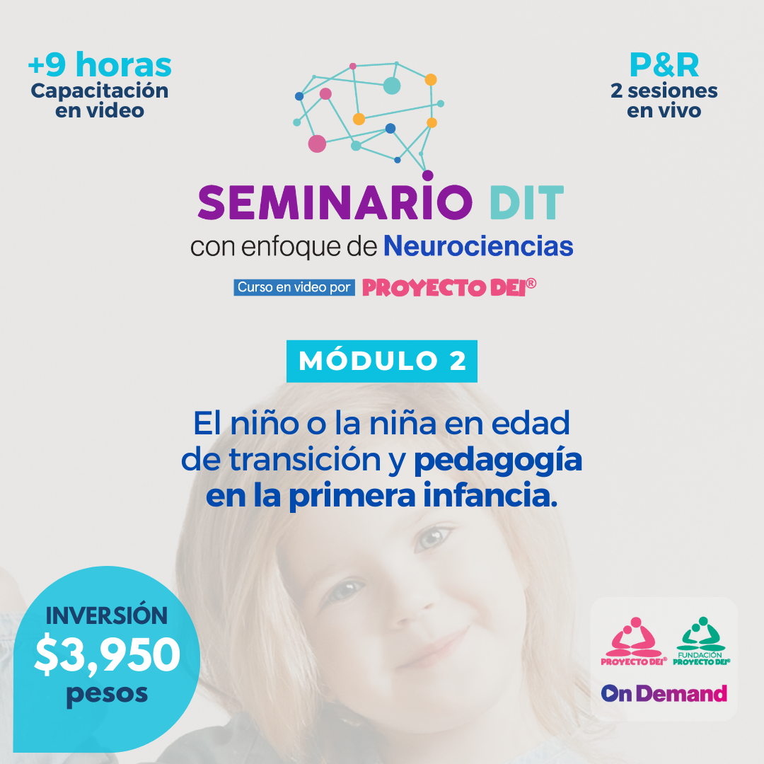 Proyecto DEI