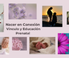 Proyecto DEI